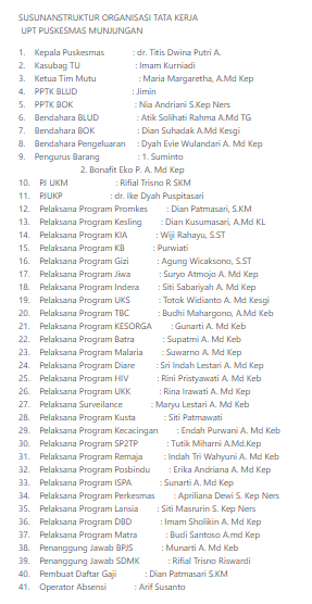 Struktur Organisasi Puskesmas